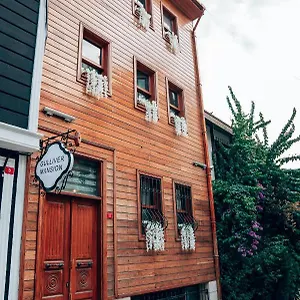 Gulliver Mansion Istambul